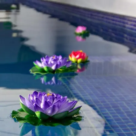 Serendipia Del Sur * Candelaria