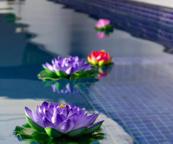 Serendipia Del Sur * Candelaria