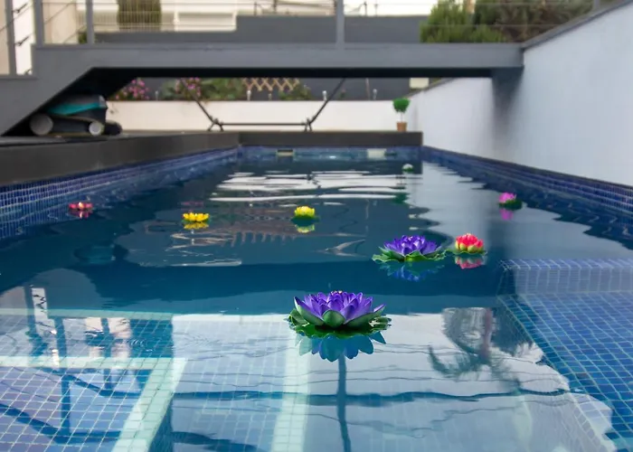 Serendipia Del Sur 칸델라리아