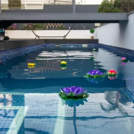 Serendipia Del Sur Candelaria